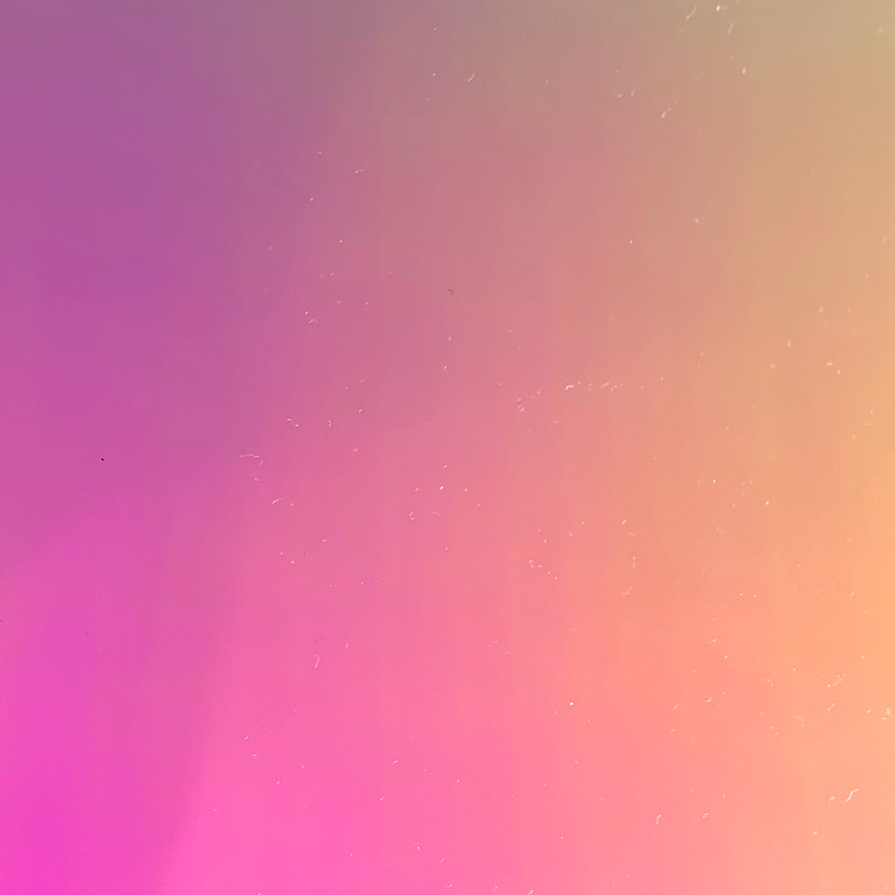 HTV Chameleon - Minirolls