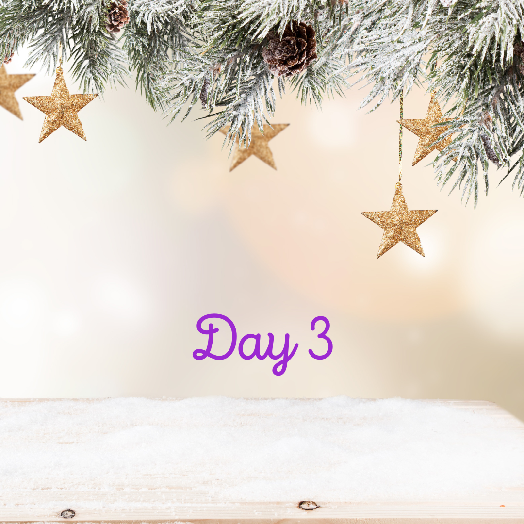 Day 3 of our 12 Days of Christmas Advent
