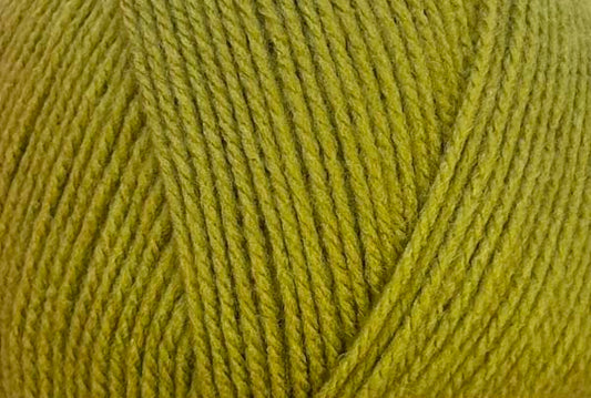 Stylecraft Special DK | Mistletoe