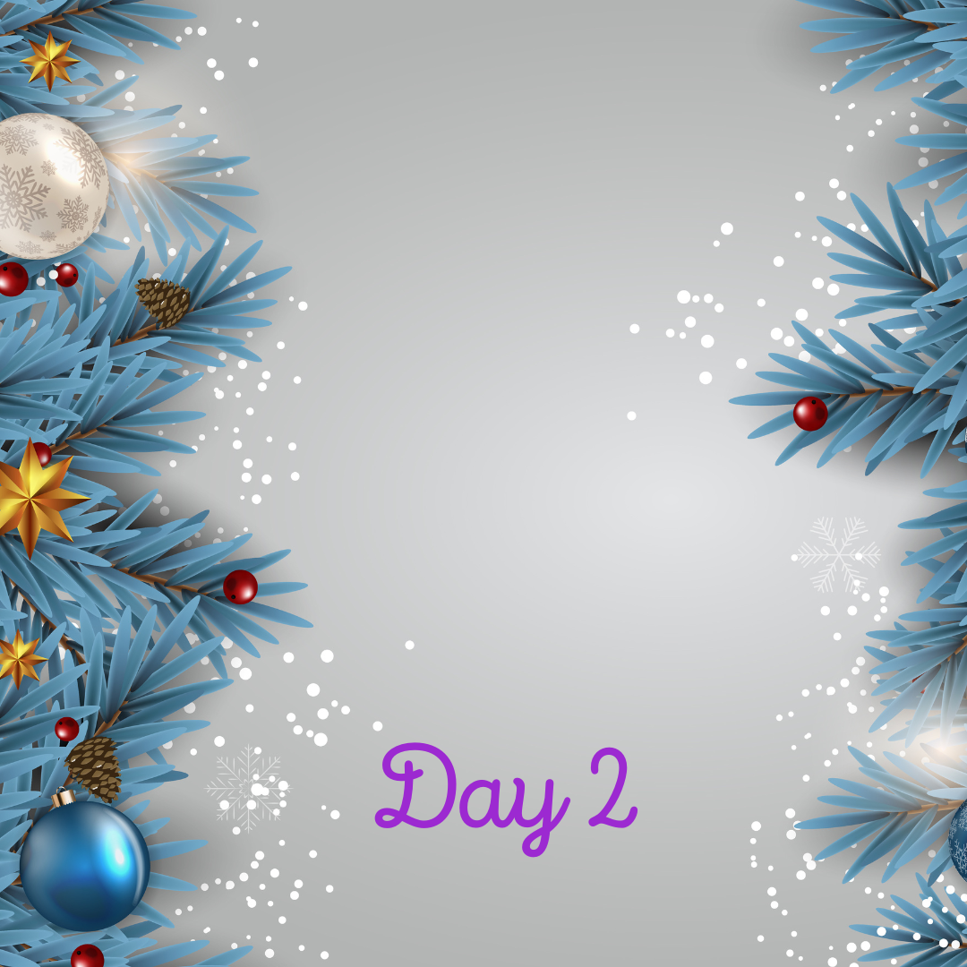 Day 2 of our 12 Days of Christmas Advent