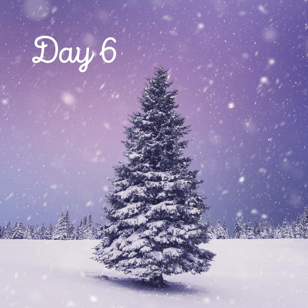 Day 6 of our 12 Days of Christmas Advent